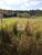 Terreno, 2200 m² - Foto 5