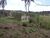 Terreno, 2200 m² - Foto 2