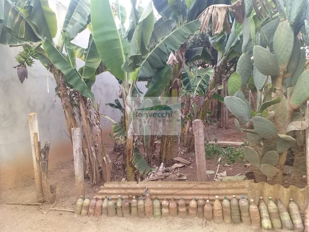 Chácara, 2 quartos, 1000 m² - Foto 3