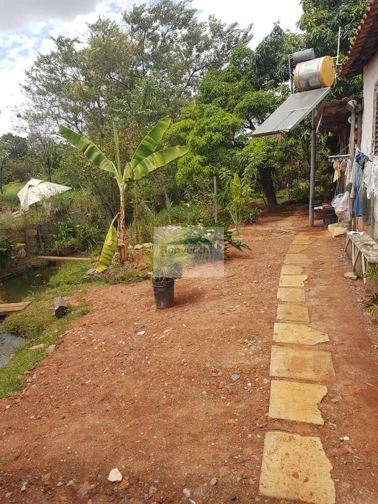 Chácara, 1 quarto, 666 m² - Foto 4