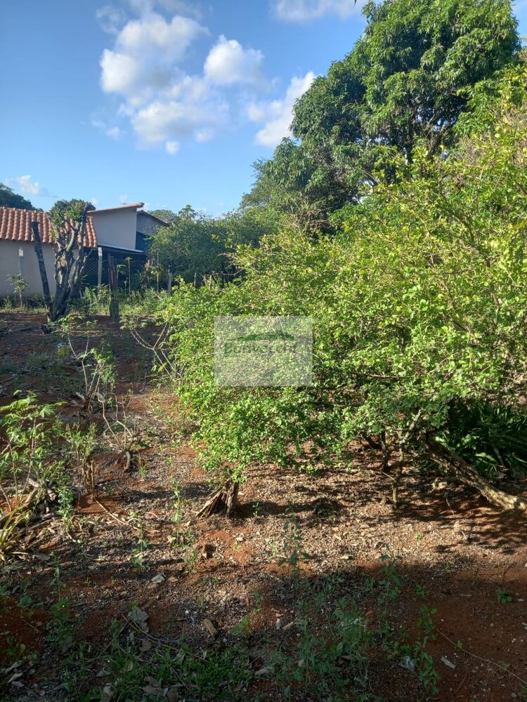 Chácara, 2 quartos, 2000 m² - Foto 2