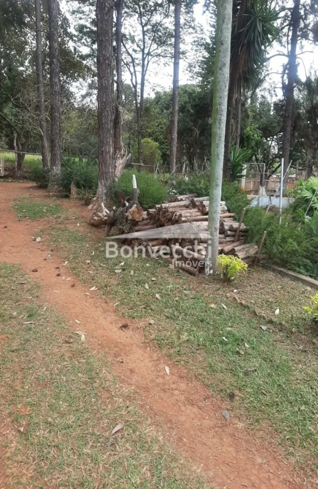 Chácara, 3 quartos, 7000 m² - Foto 3
