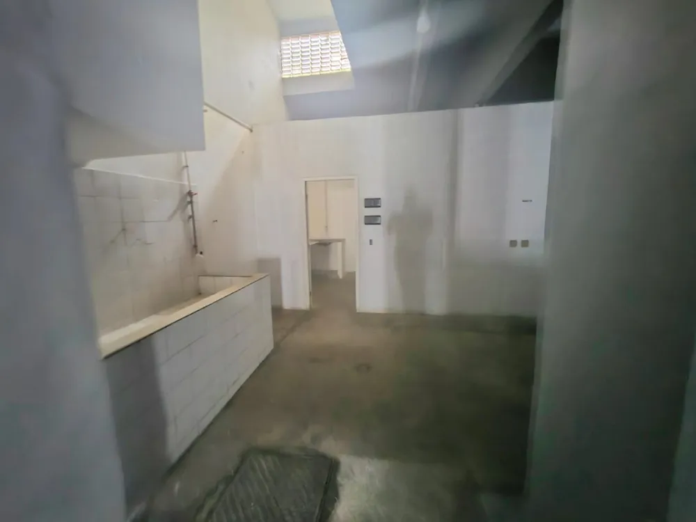 Loja-Salão, 256 m² - Foto 5