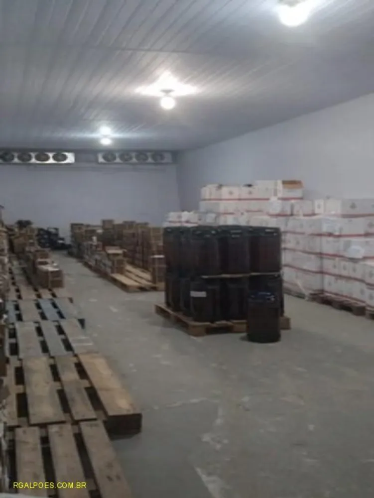 Depósito-Galpão, 2800 m² - Foto 3