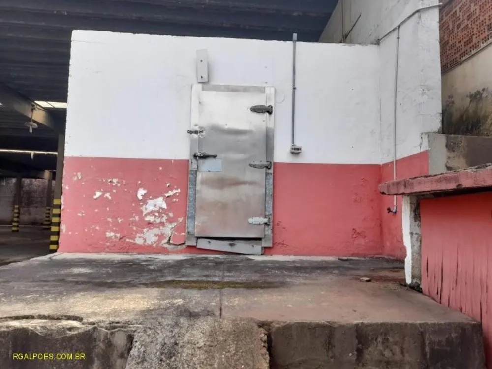 Depósito-Galpão, 5000 m² - Foto 8