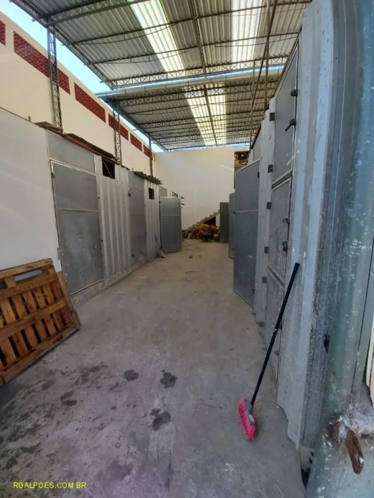 Depósito-Galpão, 550 m² - Foto 7