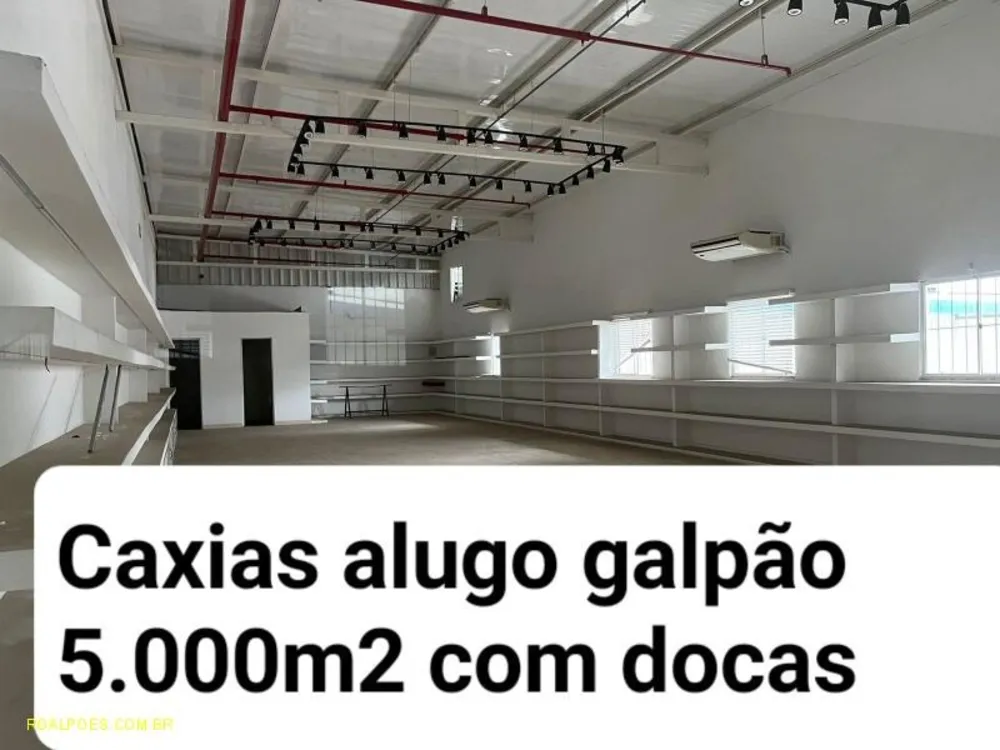 Depósito-Galpão, 5000 m² - Foto 2