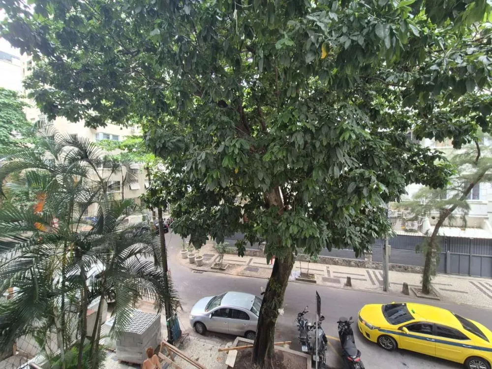 Apartamento, 3 quartos, 90 m² - Foto 12