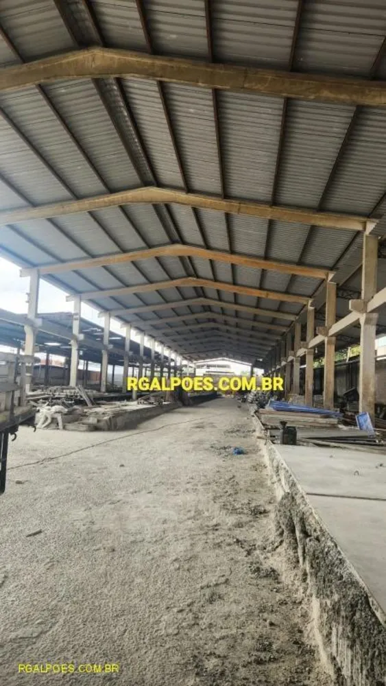 Depósito-Galpão, 4000 m² - Foto 3