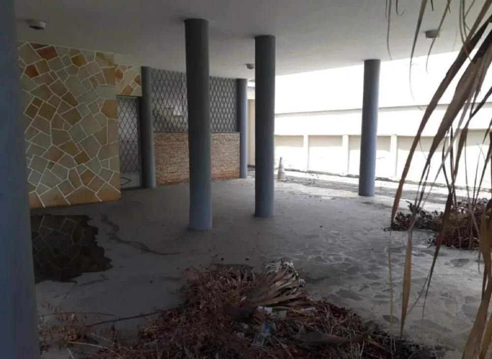 Casa, 5 quartos, 250 m² - Foto 13