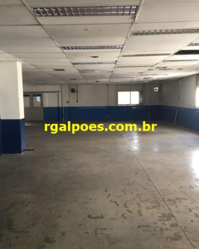 Sala-Conjunto, 800 m² - Foto 3