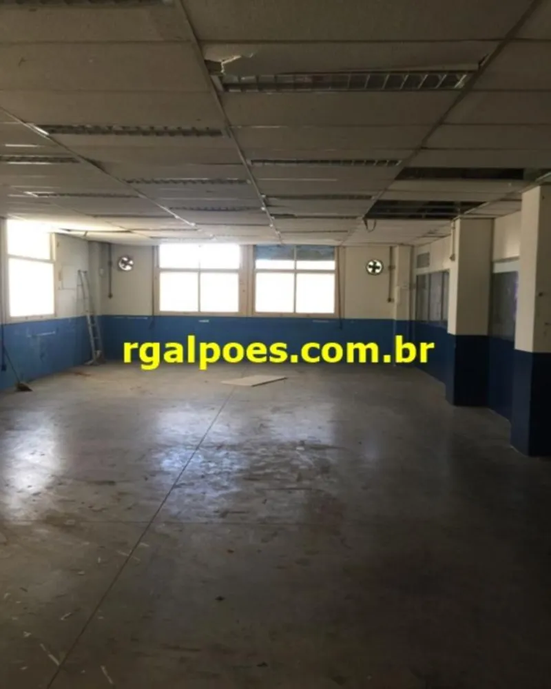 Sala-Conjunto, 800 m² - Foto 2