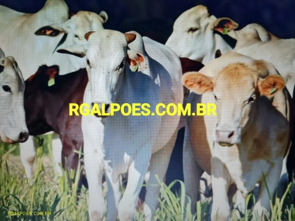 Loteamento e Condomínio, 64 hectares - Foto 9