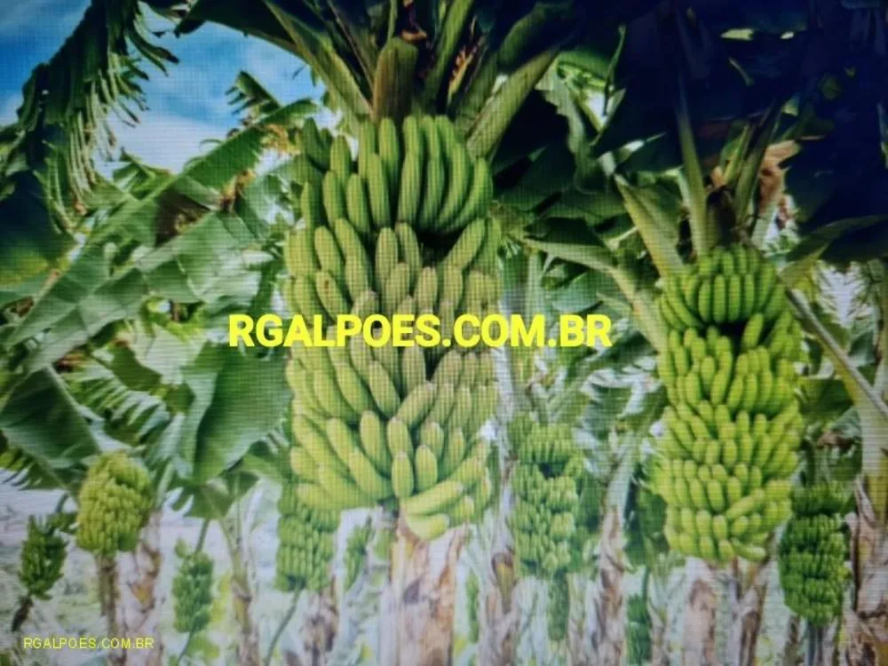 Loteamento e Condomínio, 64 hectares - Foto 8