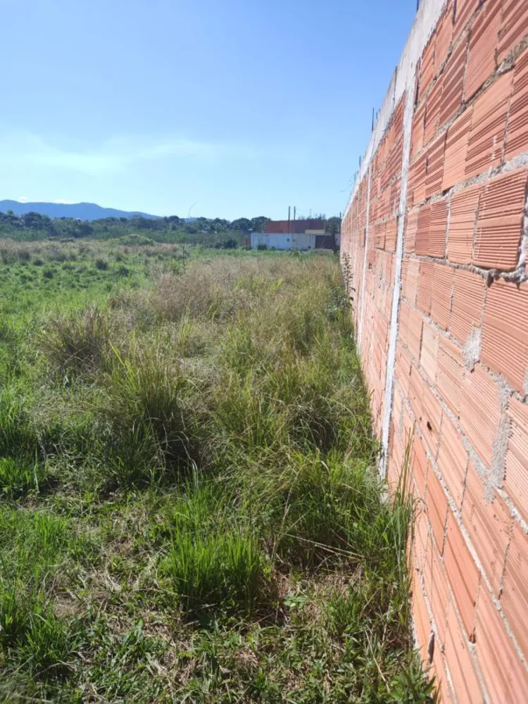 Terreno, 3960 m² - Foto 4