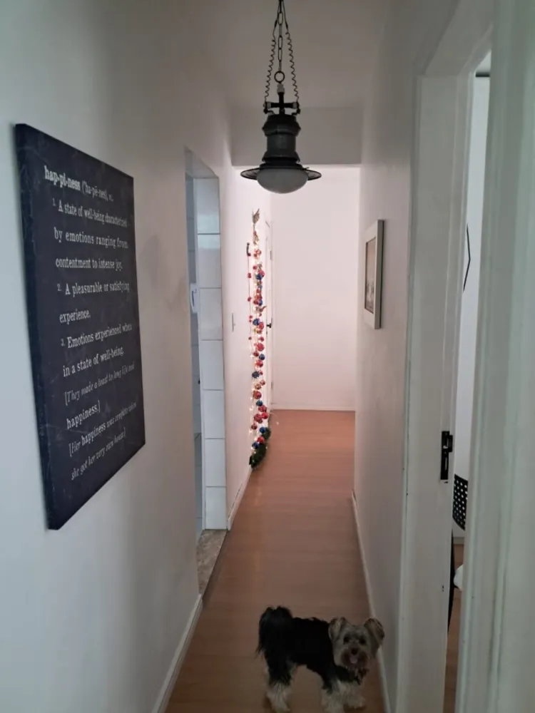 Apartamento, 2 quartos, 55 m² - Foto 20