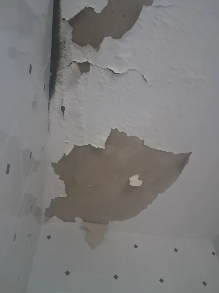 Casa, 1 quarto, 40 m² - Foto 12