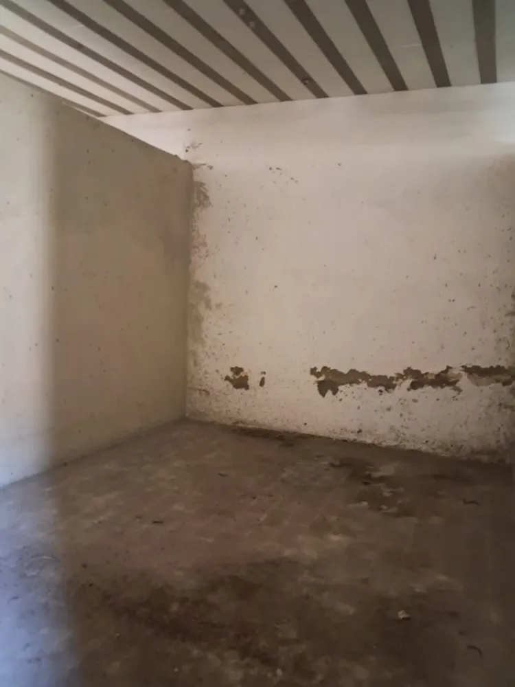 Depósito-Galpão, 3000 m² - Foto 21