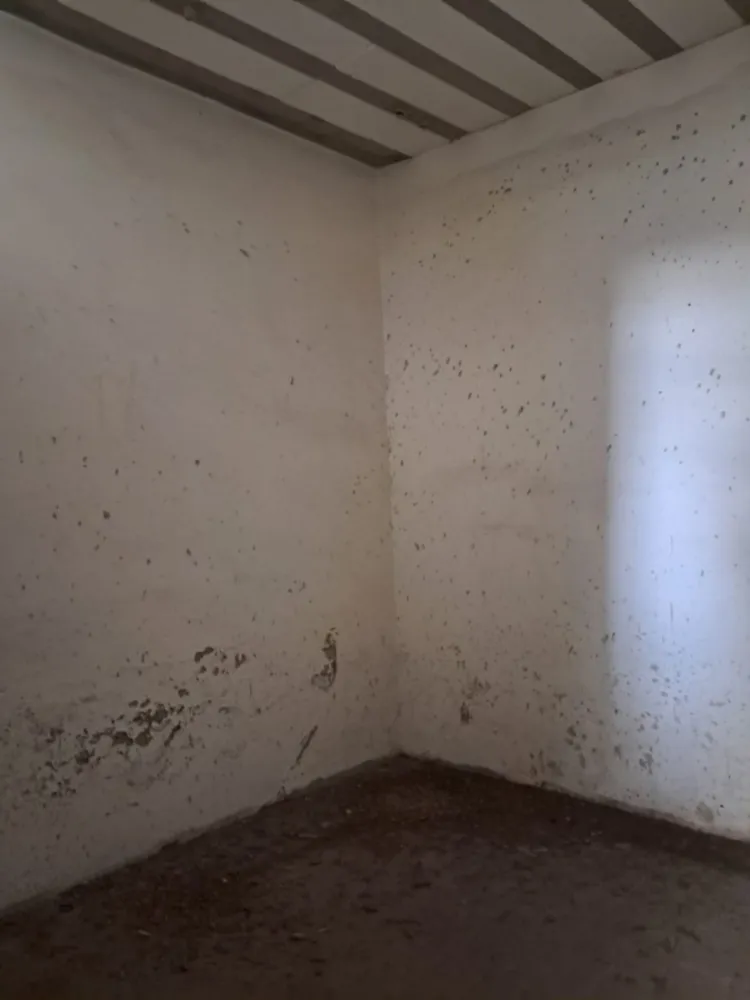Depósito-Galpão, 3000 m² - Foto 15
