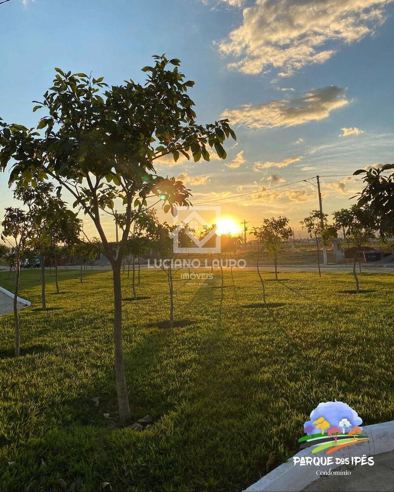 Terreno, 300 m² - Foto 8