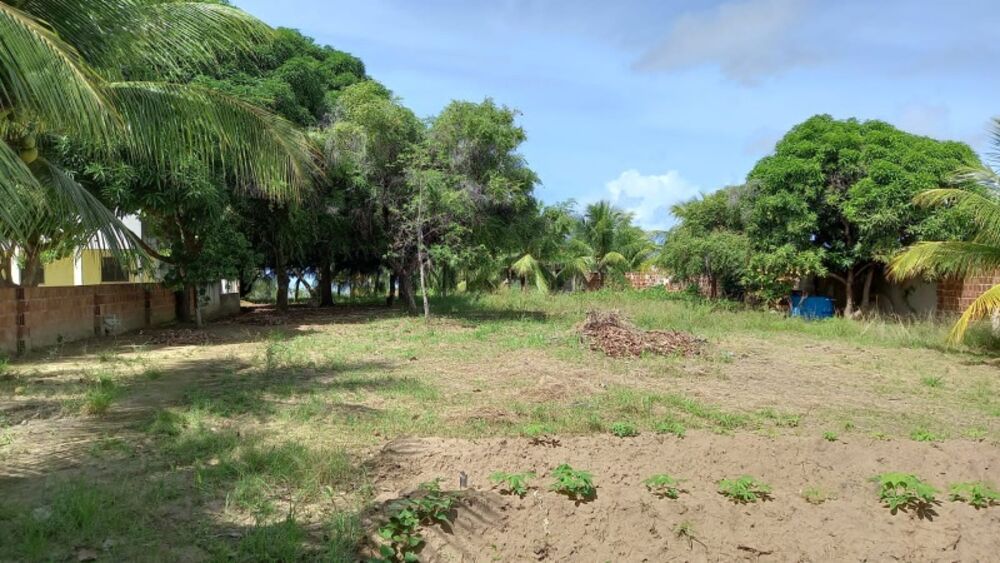 Terreno, 240 hectares - Foto 1