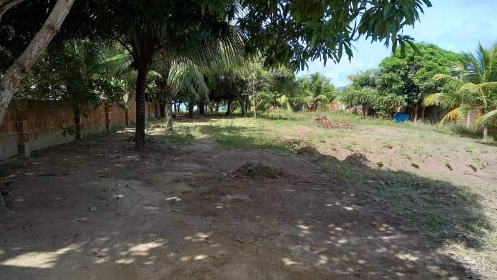 Terreno, 240 hectares - Foto 2
