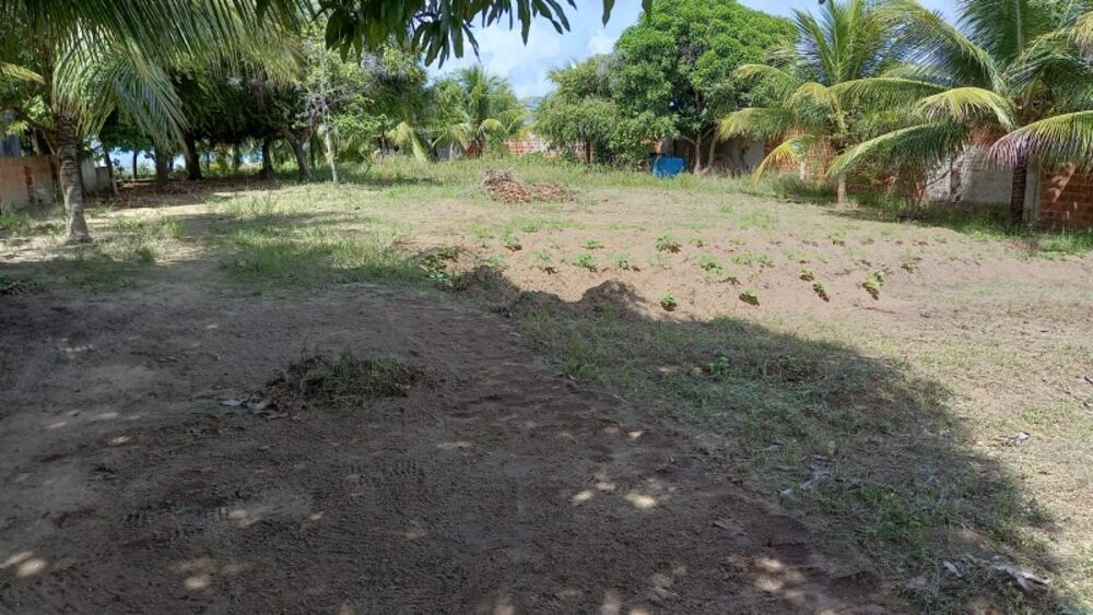 Terreno, 240 hectares - Foto 3