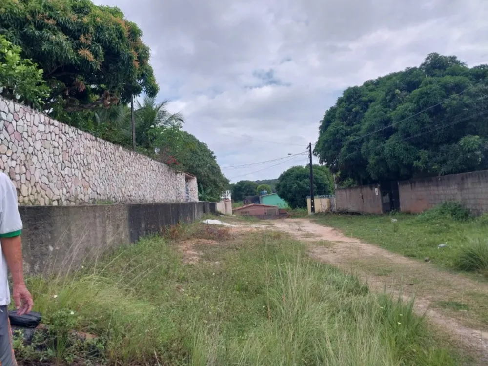Chácara, 4 quartos - Foto 16