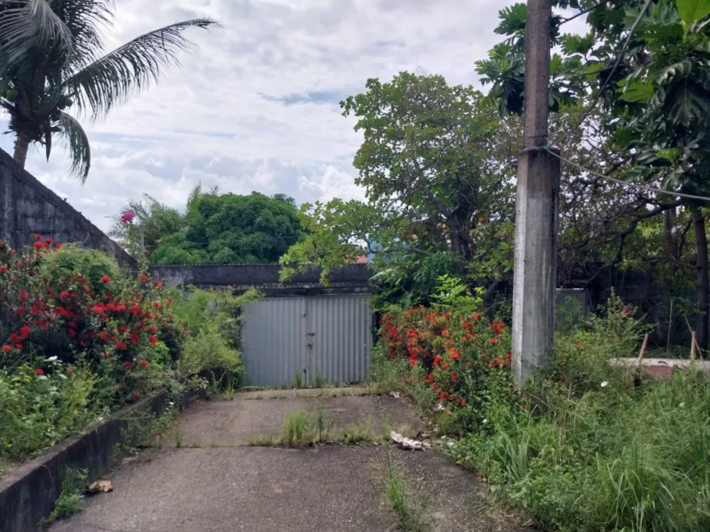 Chácara, 4 quartos - Foto 5