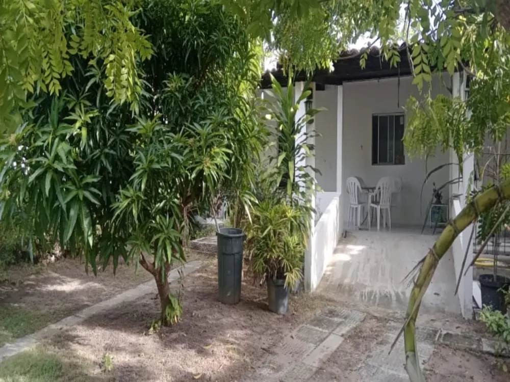 Chácara, 3 quartos - Foto 8