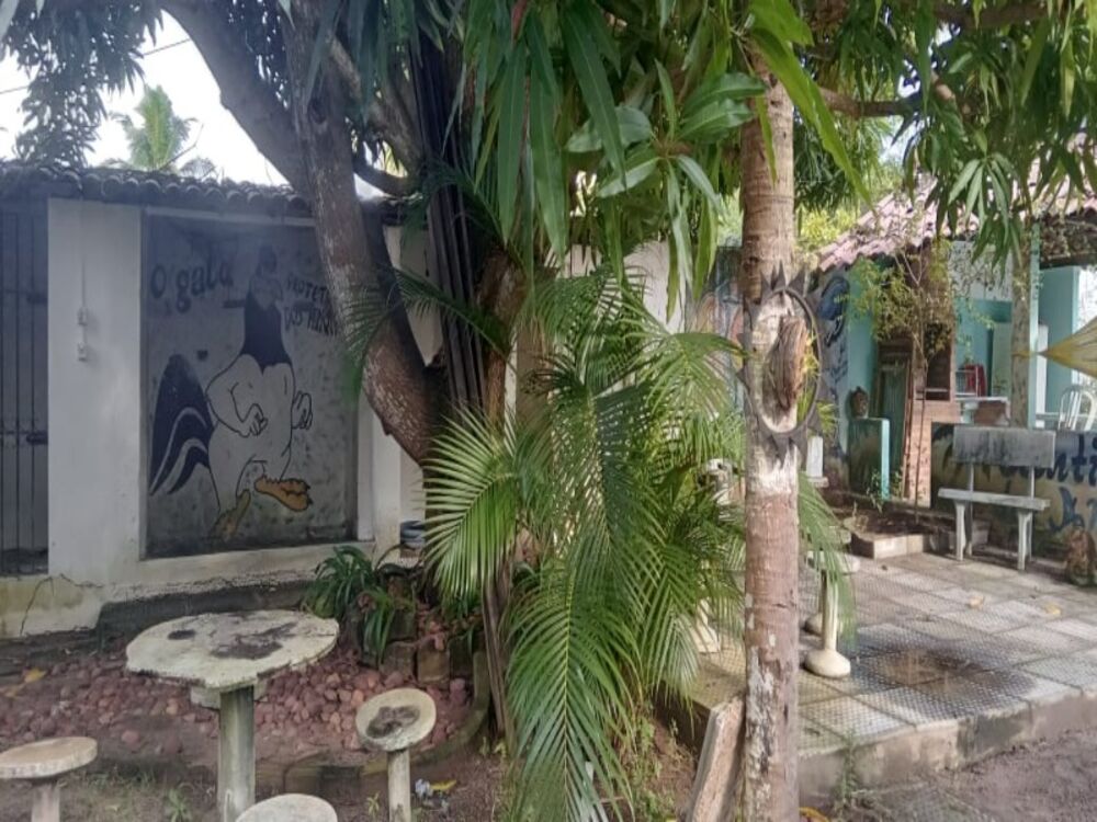 Chácara, 3 quartos - Foto 2