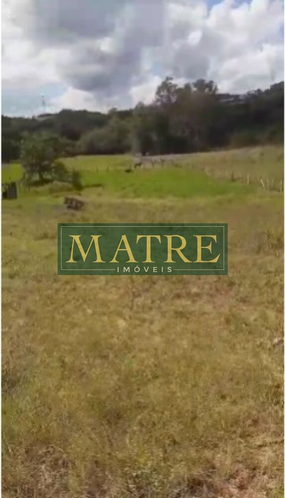 Terreno, 2600 m² - Foto 2