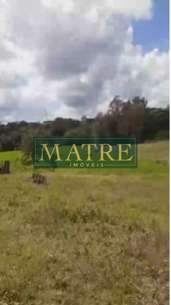 Terreno, 2600 m² - Foto 3