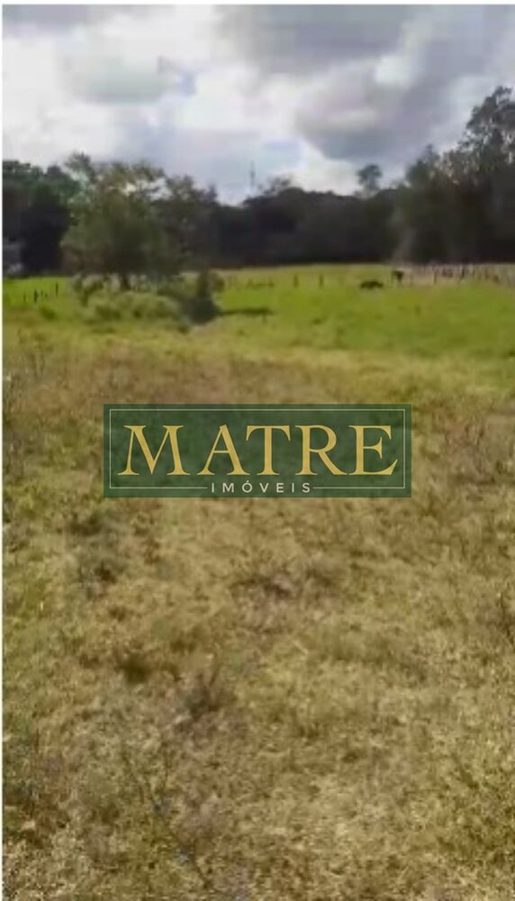 Terreno, 2600 m² - Foto 5