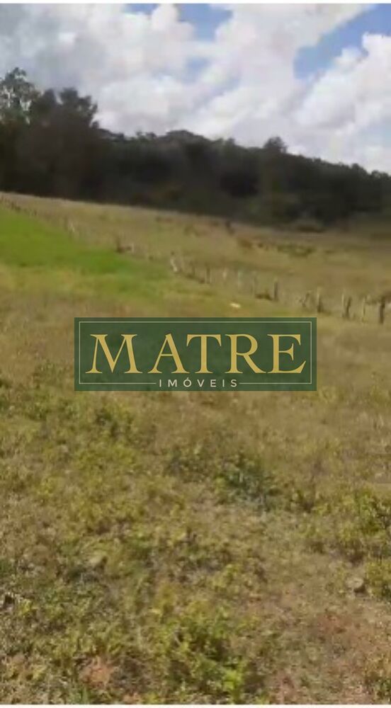 Terreno, 2600 m² - Foto 4