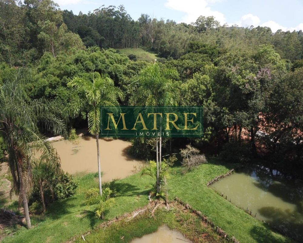 Chácara, 4 quartos, 1 hectares - Foto 7
