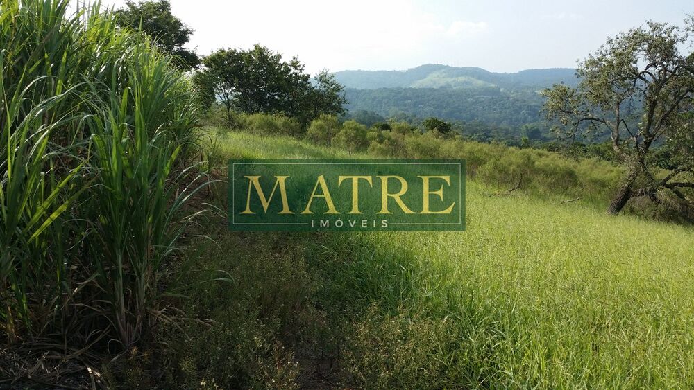 Terreno, 10 hectares - Foto 4