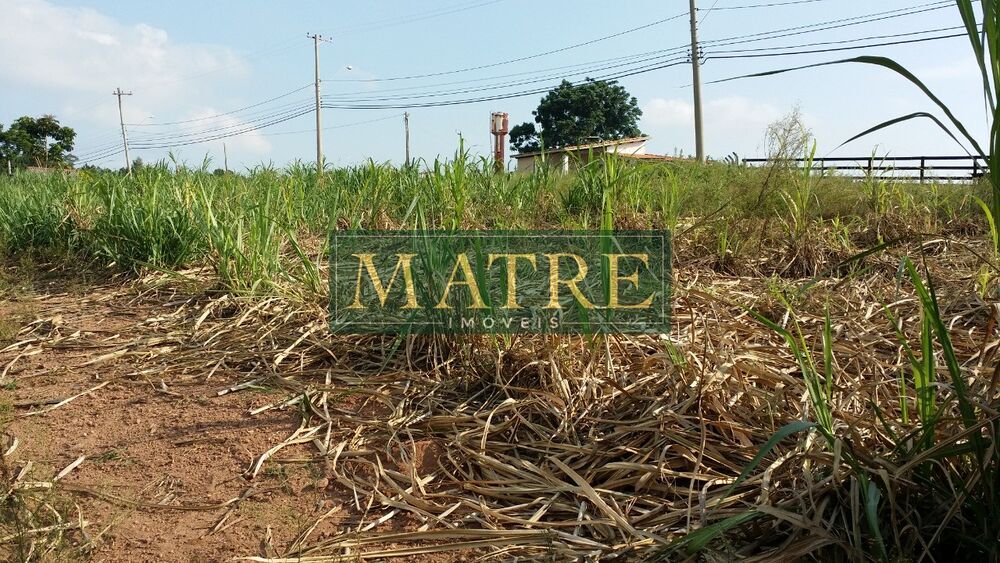 Terreno, 10 hectares - Foto 3