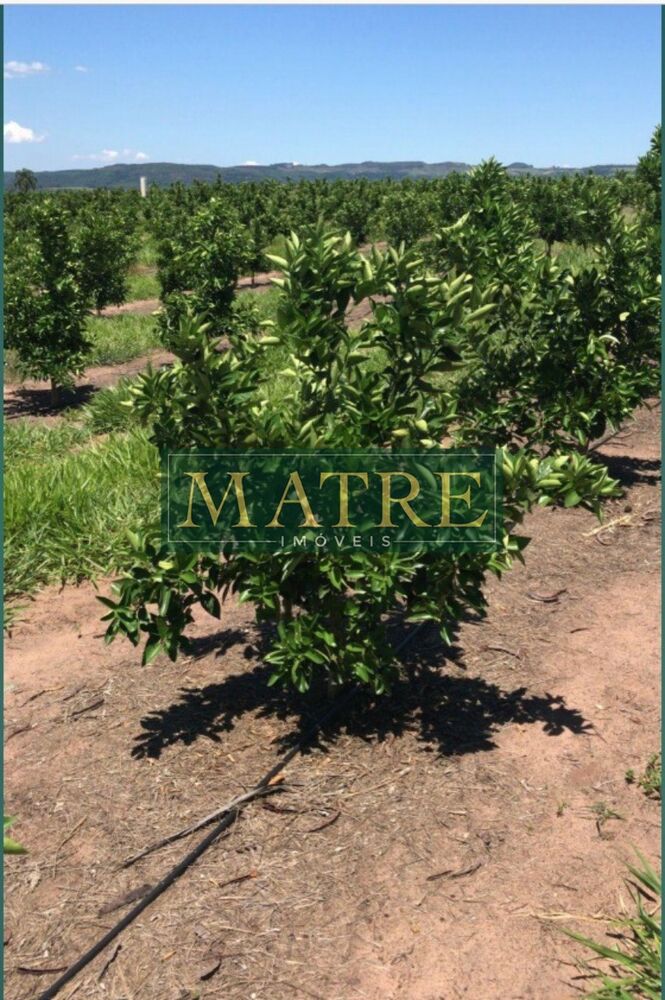 Fazenda, 94 m² - Foto 4