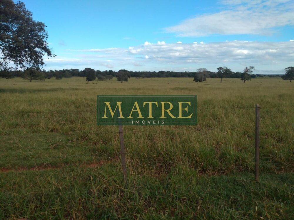Fazenda, 483 m² - Foto 2