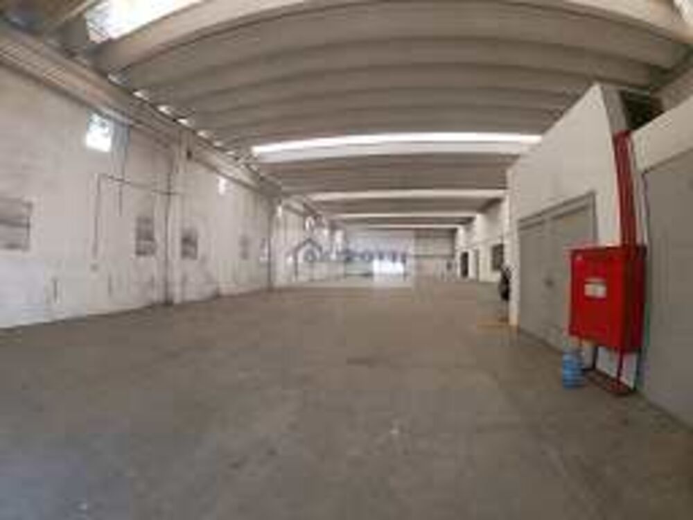 Depósito-Galpão, 15000 m² - Foto 10