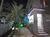 Sobrado, 3 quartos, 182 m² - Foto 1