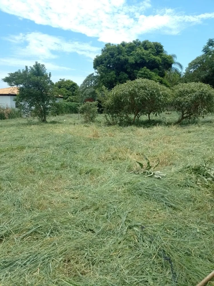 Terreno, 1000 m² - Foto 3