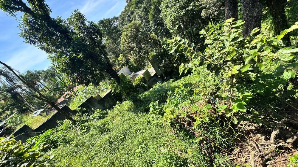 Terreno, 800 m² - Foto 11