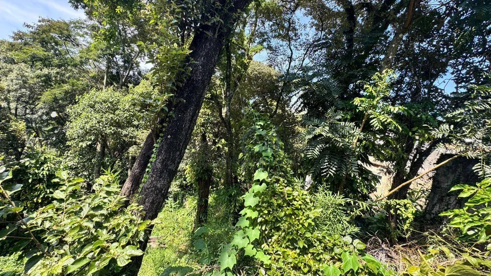 Terreno, 800 m² - Foto 8