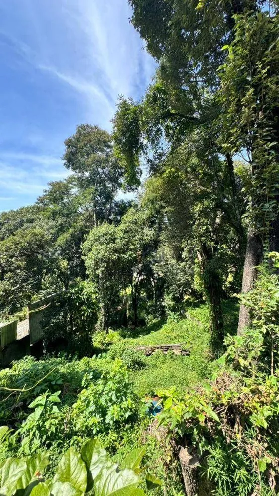 Terreno, 800 m² - Foto 2