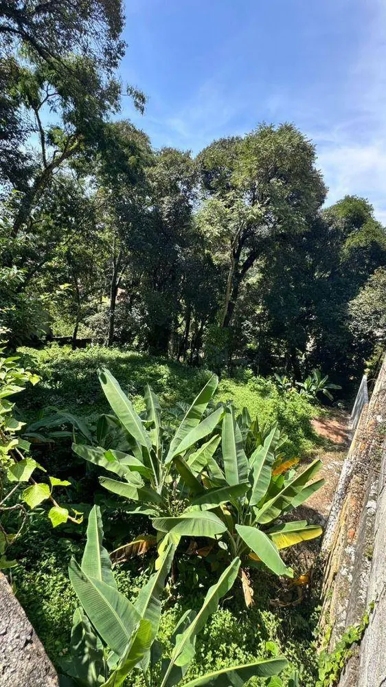 Terreno, 800 m² - Foto 3