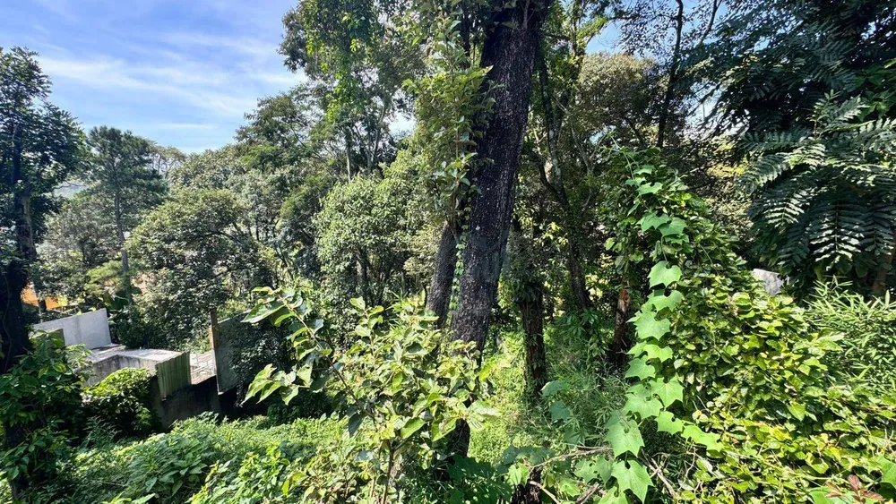 Terreno, 800 m² - Foto 12