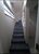 Casa, 5 quartos, 400 m² - Foto 5