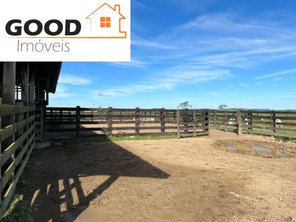 Fazenda à venda - Foto 4